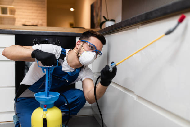 Best Pest Control Near Me  in Espaola, NM