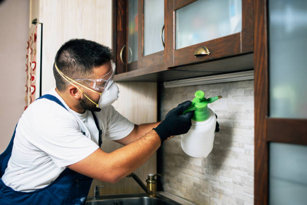Best Pest Control Cost  in Espaola, NM