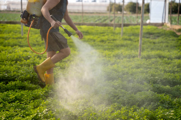 Reliable Espaola, NM Pest Control Solutions