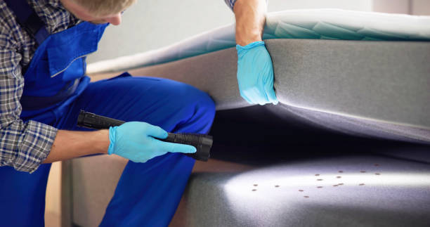 Pest Control Cost in Espaola, NM