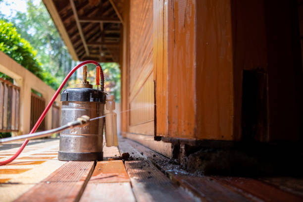 Best Mosquito Control Services  in Espaola, NM