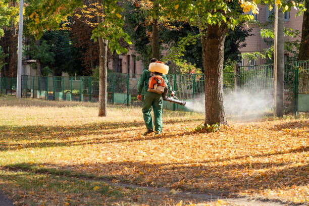 Best Pest Control Near Me  in Espaola, NM