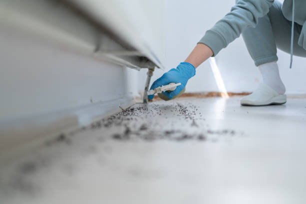 Best Exterminator Services  in Espaola, NM